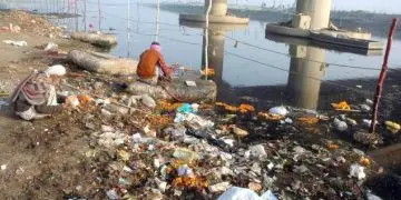 यमुना की प्रदूषण मुक्ति पर राजनीति न हो..