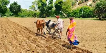 जीएम फसल का विरोध क्‍यों