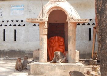 DSCN2489 e1495358488666