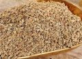 ajwain ajowan caraway india 1 e1495523450753