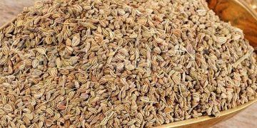 ajwain ajowan caraway india 1 e1495523450753