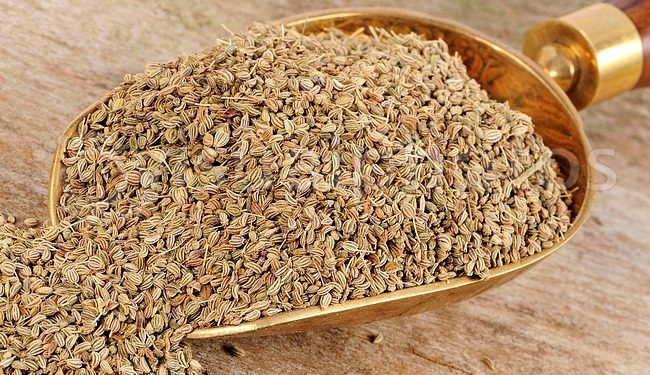 शराब छुड़ाने की भी अौषधि है, &Quot;अजवाइन&Quot; 1 ajwain ajowan caraway india