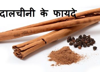 cinnamon benefit hindi