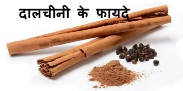 दालचीनी वात रोग की औषध्‍िा