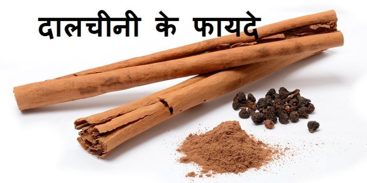 cinnamon benefit hindi