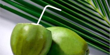 coconut pic RS