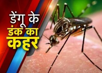 nr 11 650 102412115249