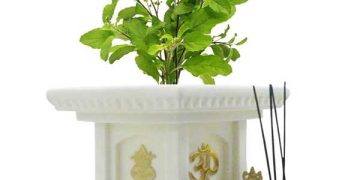 tulsi 01 1441025773