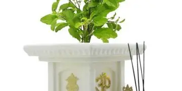 तुलसी माता से औषध्‍िा