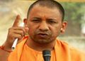 Yogi upcm