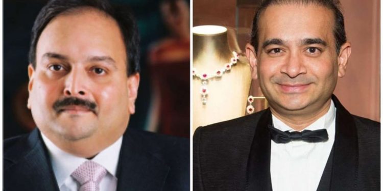 82411 nexvqawdzl 1519460046