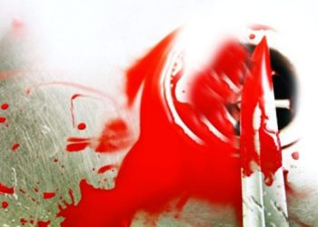 criminal 4 1451676080 1476375243 835x547