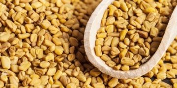 seed