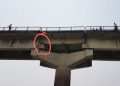 NBT image 2