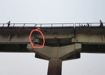 NBT image 2