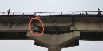NBT image 2
