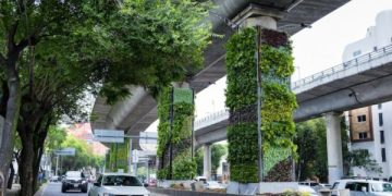 Vertical Garden