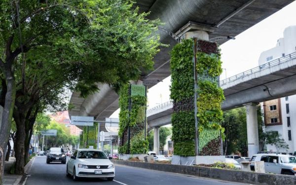 Vertical Garden