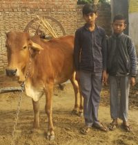 WhatsApp Image 2019 11 30 at 9.49.58 AM e1583998761979 1