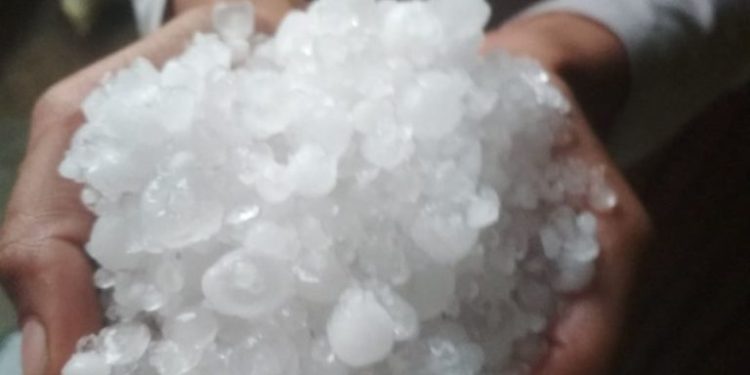 89348579 199957804752067 8167285852746022912 n