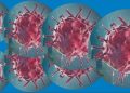 corona virus