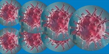 corona virus 2