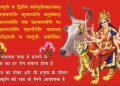 cow poster