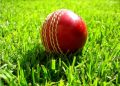 cricket