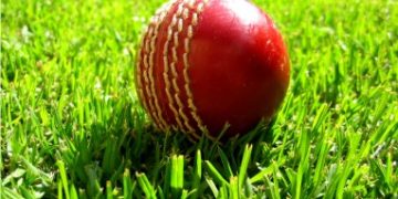 cricket
