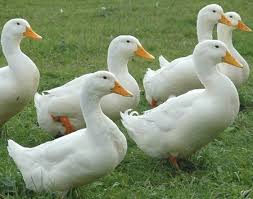 images e1583940778382