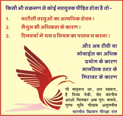 वायरस से बचाव अभियान (भाग-4) 2 shrikhand Brochure 1