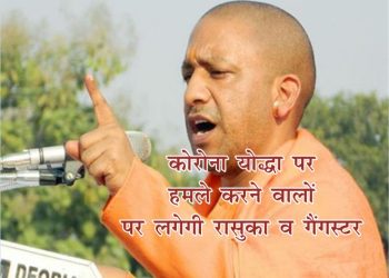 yogi 2