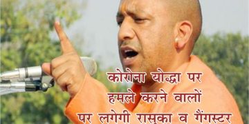 yogi 2