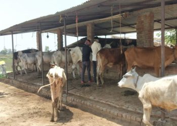 100904476 3435421446490640 6665550997261123584 n scaled 1