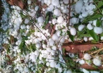 95174323 545801879676854 278175149042171904 n e1588331207888