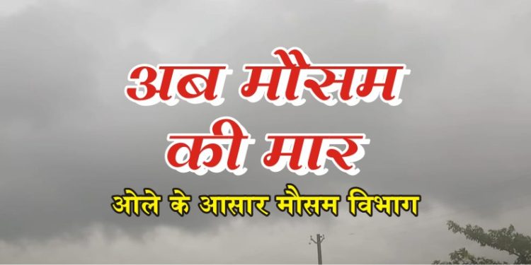मौसम की मार, किसान बेहाल 1 ola