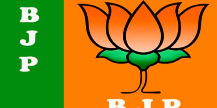 BJP scaled 1