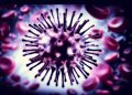 Influenza Virus H1N1 Swine Flu shut