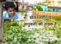 madhuni 2
