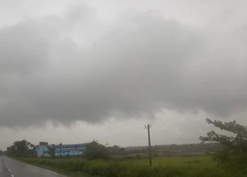 WhatsApp Image 2019 07 12 at 2.24.57 PM scaled 1