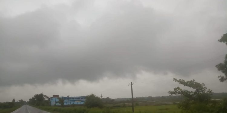 पूर्वाचंल में, बदरी व कजरी की जुगलबंदी से लहराए खेत 1 WhatsApp Image 2019 07 12 at 2.24.57 PM scaled 1