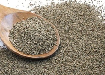 carom 1472448261 835x547