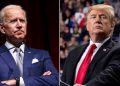 donald trump joe biden 1590194295