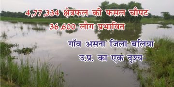 baliya 1