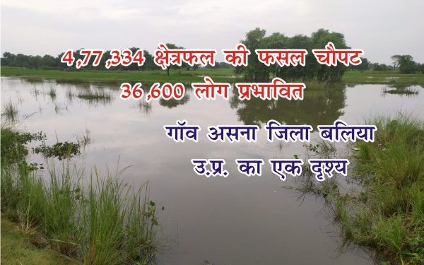 अब उत्तर प्रदेश के 12 जिलों के 293 गांव बाढ़ 1 baliya 1