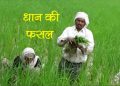 kishan