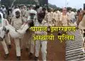 अस्‍थायी पुलिस पर स्‍थायी भयंकर लाठी चार्ज
