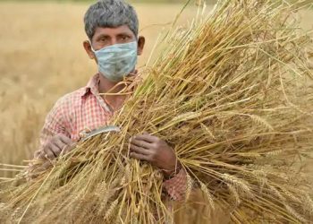 ezgif.com gif maker 4