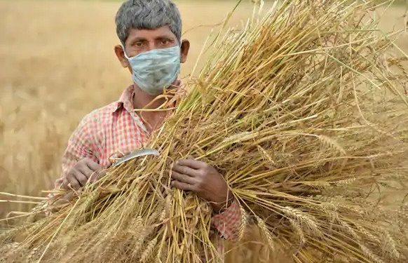 ezgif.com gif maker 4