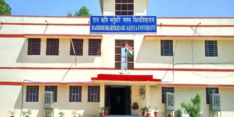 matsya univerdity 5458177 835x547 m